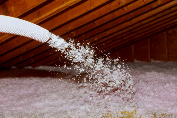 Best Insulation Maintenance and Repair in Mineral Springs, AR