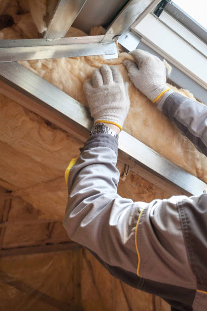 Best Specialty Insulation in Mineral Springs, AR