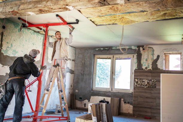 Best Residential Insulation in Mineral Springs, AR